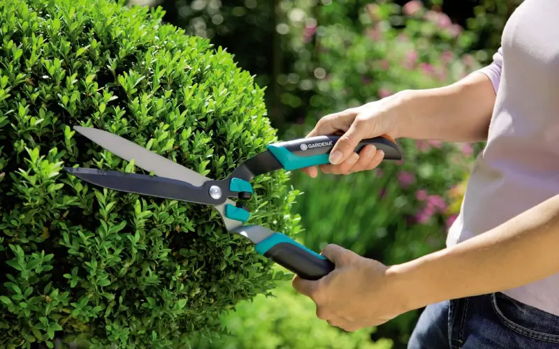 Essential Hand Tools